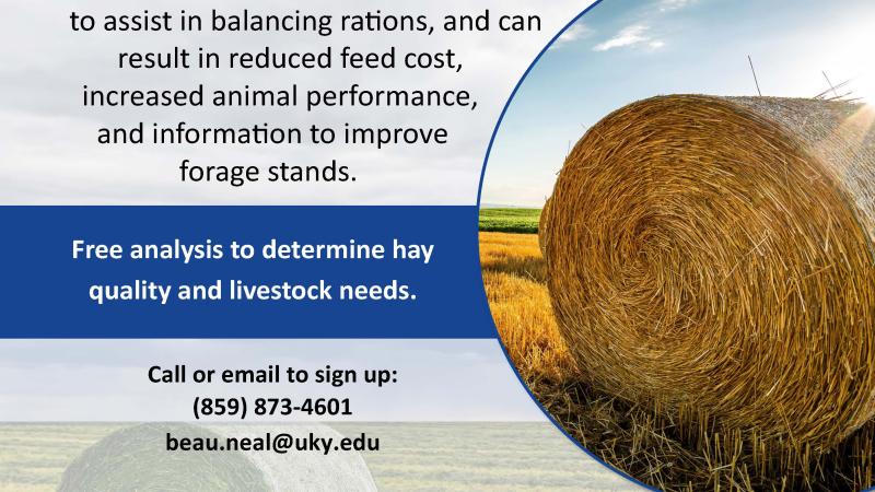 Hay Contest 2025